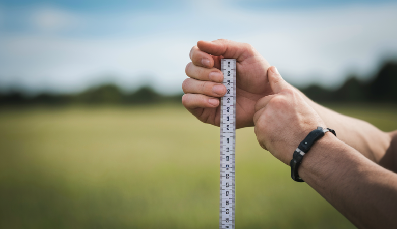 Convertir 1 Hectare en m² : Équivalence et Calculs Pratiques